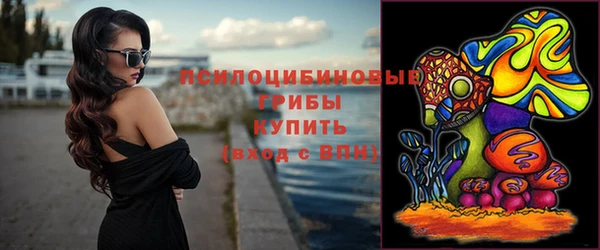 дживик Кулебаки