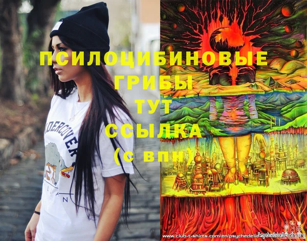 дживик Кулебаки