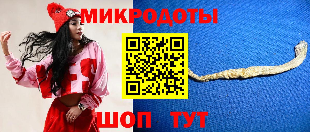 купить наркоту  Вход с VPN  Учалы  Галлюциногенные грибы MAGIC MUSHROOMS  Псилоцибиновые грибы Psilocybine cubensis 