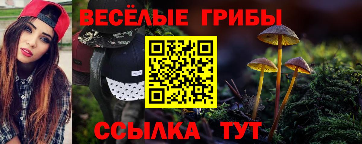 Галлюциногенные грибы Magic Shrooms Учалы